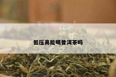 低压高能喝普洱茶吗