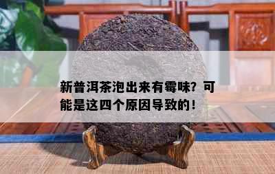 新普洱茶泡出来有霉味？可能是这四个原因导致的！