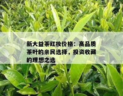 新大益茶红妆价格：高品质茶叶的亲民选择，投资收藏的理想之选