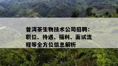 普洱茶生物技术公司招聘：职位、待遇、福利、面试流程等全方位信息解析