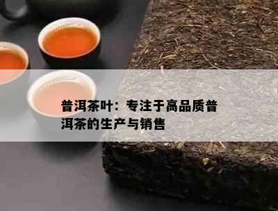 普洱茶叶：专注于高品质普洱茶的生产与销售