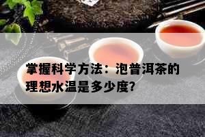 掌握科学方法：泡普洱茶的理想水温是多少度？