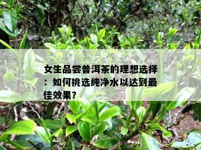 女生品尝普洱茶的理想选择：如何挑选纯净水以达到更佳效果？