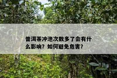 普洱茶冲泡次数多了会有什么影响？如何避免危害？