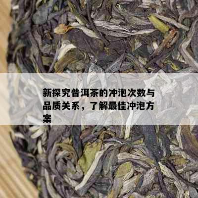 新探究普洱茶的冲泡次数与品质关系，了解更佳冲泡方案