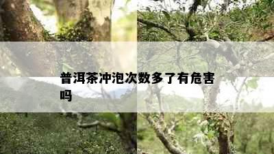 普洱茶冲泡次数多了有危害吗