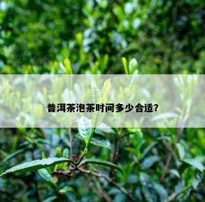 普洱茶泡茶时间多少合适？