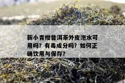 新小青柑普洱茶外皮泡水可用吗？有成分吗？如何正确饮用与保存？