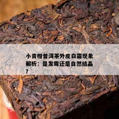 小青柑普洱茶外皮白霜现象解析：是发霉还是自然结晶？