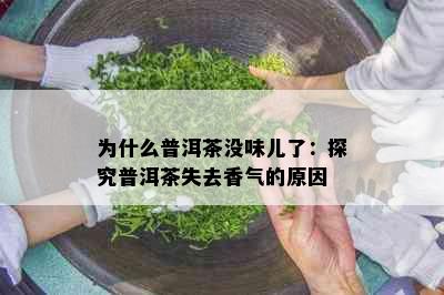 为什么普洱茶没味儿了：探究普洱茶失去香气的原因