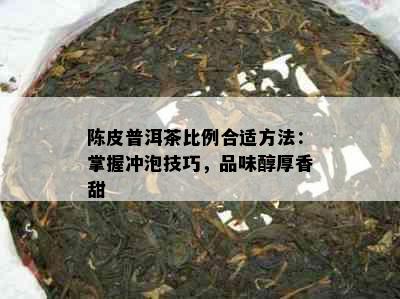 陈皮普洱茶比例合适方法：掌握冲泡技巧，品味醇厚香甜