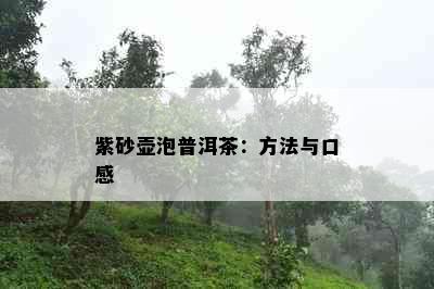 紫砂壶泡普洱茶：方法与口感