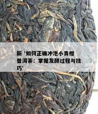 新 '如何正确冲泡小青柑普洱茶：掌握发酵过程与技巧'