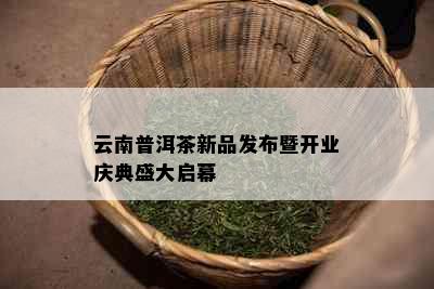 云南普洱茶新品发布暨开业庆典盛大启幕