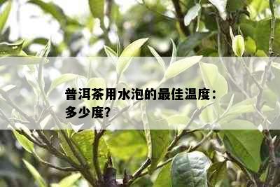 普洱茶用水泡的更佳温度：多少度？