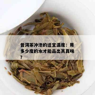 普洱茶冲泡的适宜温度：用多少度的水才能品出其真味？