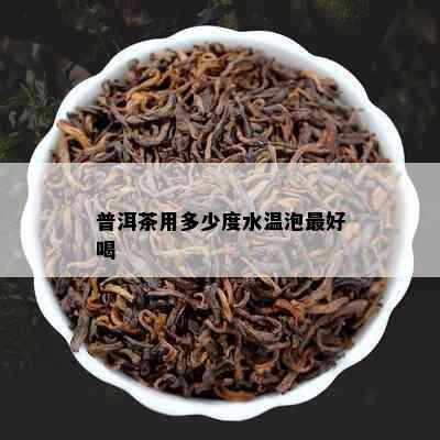 普洱茶用多少度水温泡更好喝