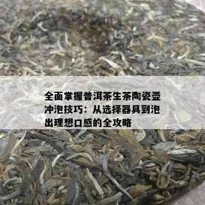 全面掌握普洱茶生茶陶瓷壶冲泡技巧：从选择器具到泡出理想口感的全攻略