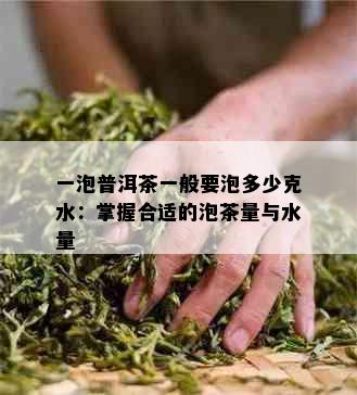 一泡普洱茶一般要泡多少克水：掌握合适的泡茶量与水量