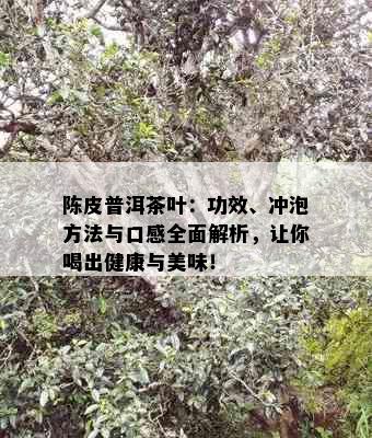 陈皮普洱茶叶：功效、冲泡方法与口感全面解析，让你喝出健康与美味！