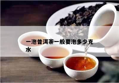 一泡普洱茶一般要泡多少克水