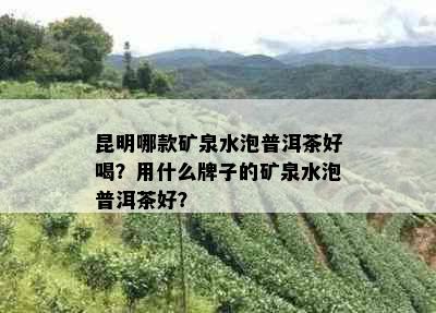 昆明哪款矿泉水泡普洱茶好喝？用什么牌子的矿泉水泡普洱茶好？