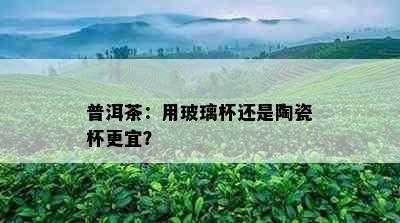 普洱茶：用玻璃杯还是陶瓷杯更宜？