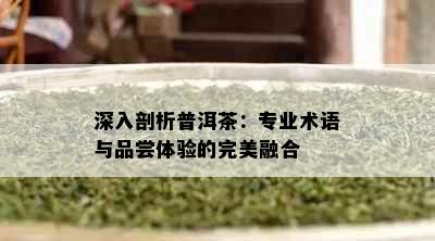 深入剖析普洱茶：专业术语与品尝体验的完美融合