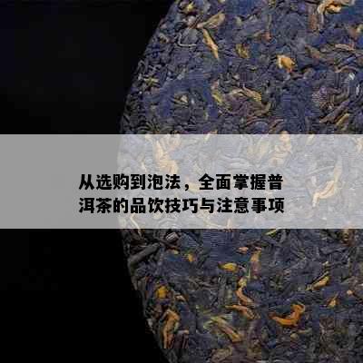 从选购到泡法，全面掌握普洱茶的品饮技巧与注意事项