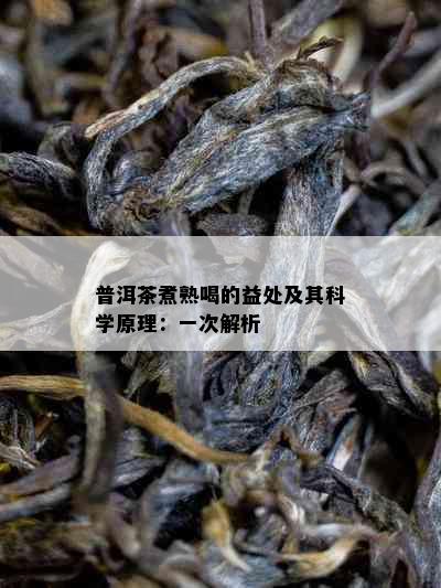 普洱茶煮熟喝的益处及其科学原理：一次解析