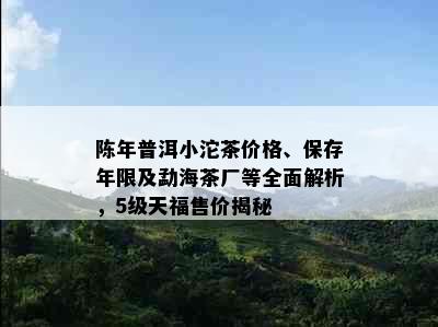 陈年普洱小沱茶价格、保存年限及勐海茶厂等全面解析，5级天福售价揭秘