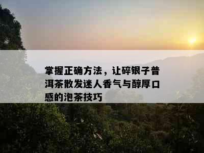 掌握正确方法，让碎银子普洱茶散发迷人香气与醇厚口感的泡茶技巧