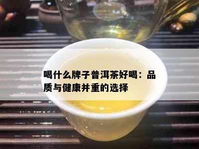 喝什么牌子普洱茶好喝：品质与健康并重的选择