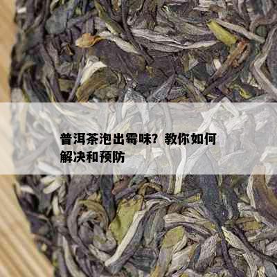 普洱茶泡出霉味？教你如何解决和预防