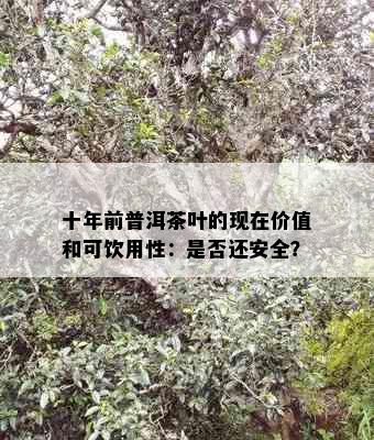 十年前普洱茶叶的现在价值和可饮用性：是否还安全？