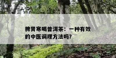 脾胃寒喝普洱茶：一种有效的中医调理方法吗？