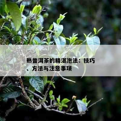 熟普洱茶的精湛泡法：技巧、方法与注意事项