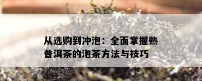 从选购到冲泡：全面掌握熟普洱茶的泡茶方法与技巧