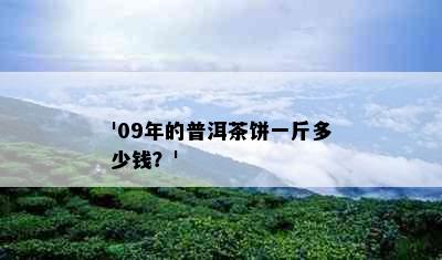 '09年的普洱茶饼一斤多少钱？'