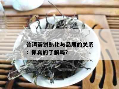 普洱茶饼熟化与品质的关系：你真的了解吗？