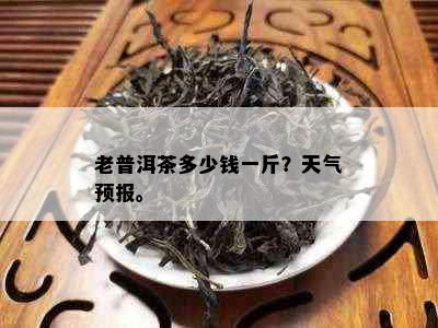 老普洱茶多少钱一斤？天气预报。