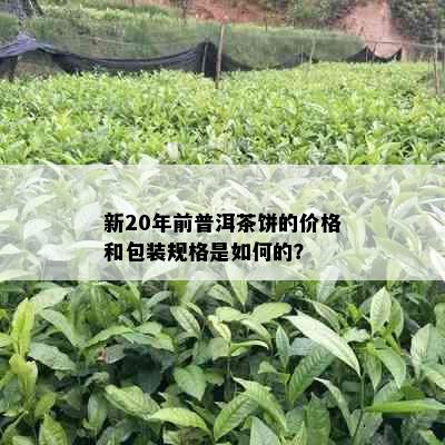 新20年前普洱茶饼的价格和包装规格是如何的？