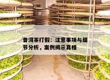 普洱茶打假：注意事项与细节分析，案例揭示真相