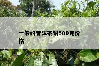 一般的普洱茶饼500克价格