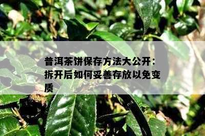 普洱茶饼保存方法大公开：拆开后如何妥善存放以免变质