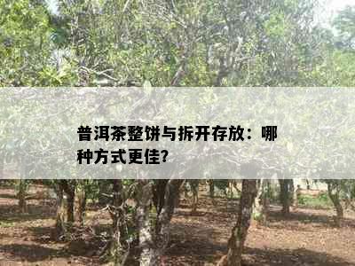 普洱茶整饼与拆开存放：哪种方式更佳？