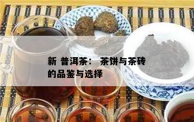 新 普洱茶： 茶饼与茶砖的品鉴与选择