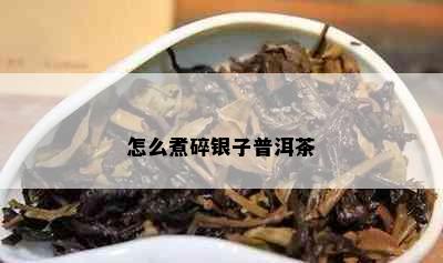 怎么煮碎银子普洱茶