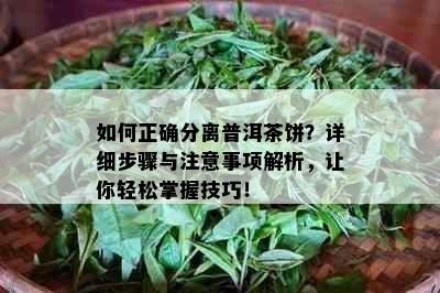 如何正确分离普洱茶饼？详细步骤与注意事项解析，让你轻松掌握技巧！