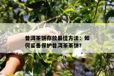 普洱茶饼存放更佳方法：如何妥善保护普洱茶茶饼？